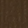 Transparent Raw Umber